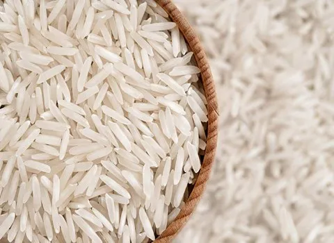 قیمت برنج عنبر بو شادگان + خرید باور نکردنی